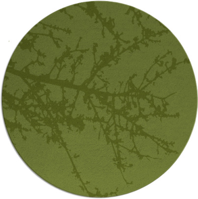 spruce rug - item 494086