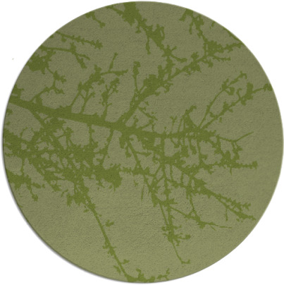 spruce rug - item 494087