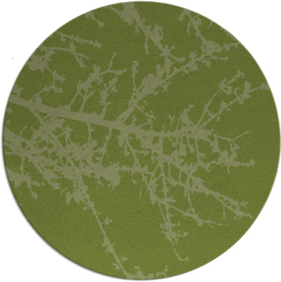 spruce rug - item 494088