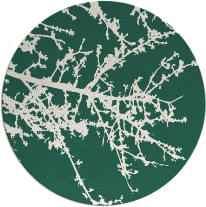 spruce rug - item 494093