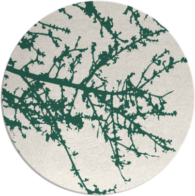 spruce rug - item 494094