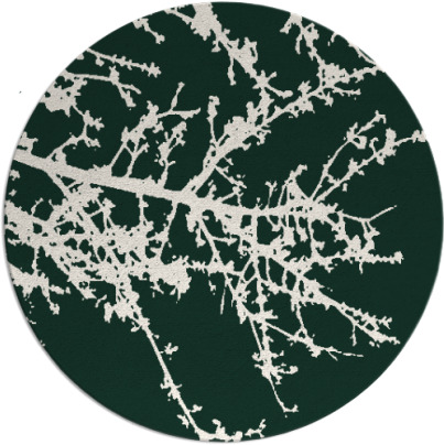 spruce rug - item 494095