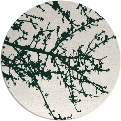 spruce rug - item 494096