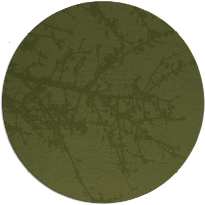 spruce rug - item 494097