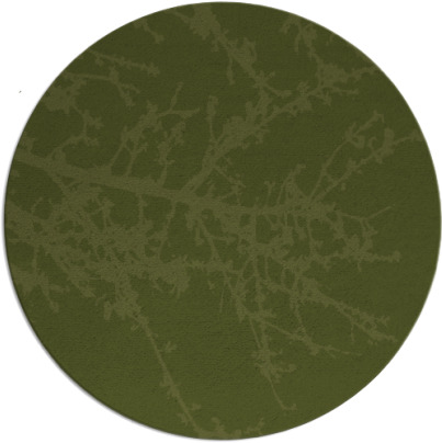 spruce rug - item 494098