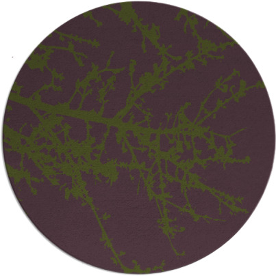 spruce rug - item 494099