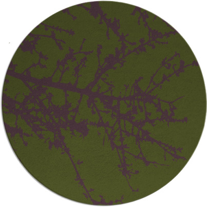 spruce rug - item 494100