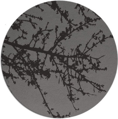 spruce rug - item 494112