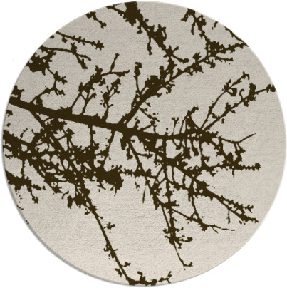 spruce rug - item 494116