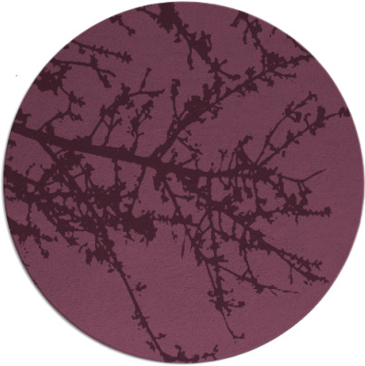 spruce rug - item 494119