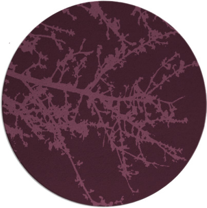 spruce rug - item 494120