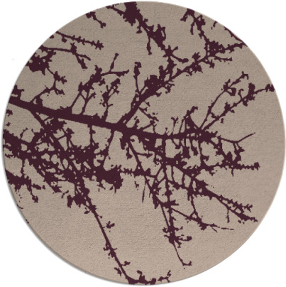 spruce rug - item 494121