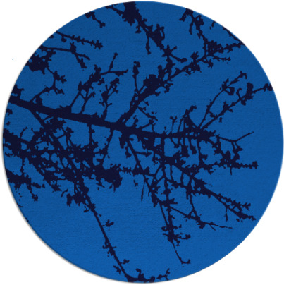 spruce rug - item 494129