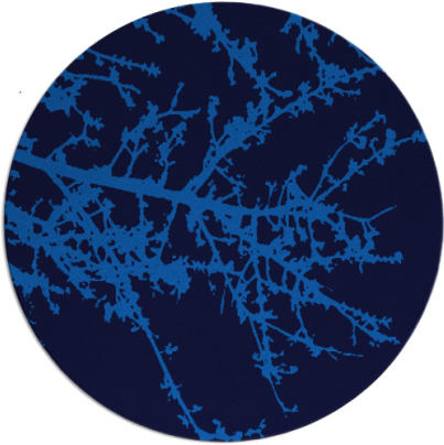 spruce rug - item 494130