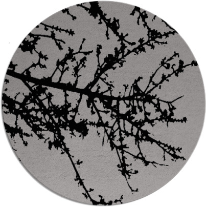 spruce rug - item 494133