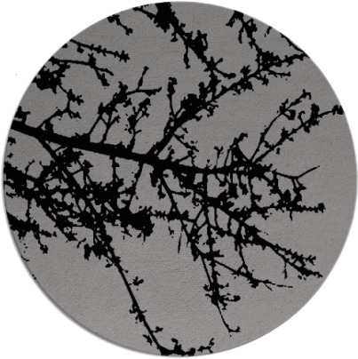 spruce rug - item 494135