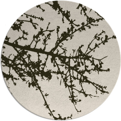 spruce rug - item 494137