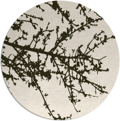 spruce rug - item 494139