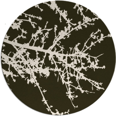 spruce rug - item 494140