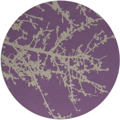 spruce rug - item 494142