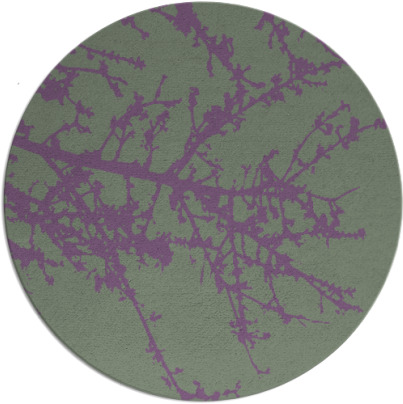 spruce rug - item 494143