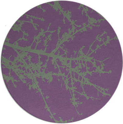 spruce rug - item 494144