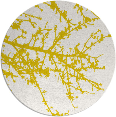 spruce rug - item 494148