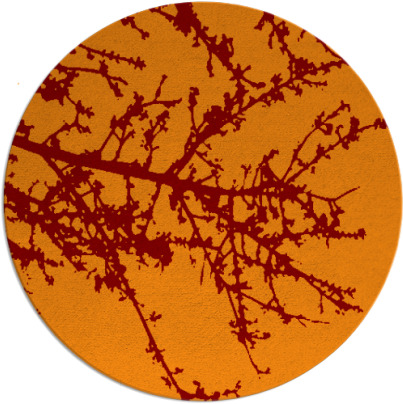 spruce rug - item 494151