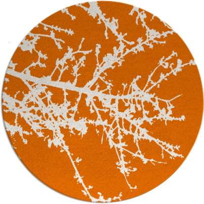 spruce rug - item 494153