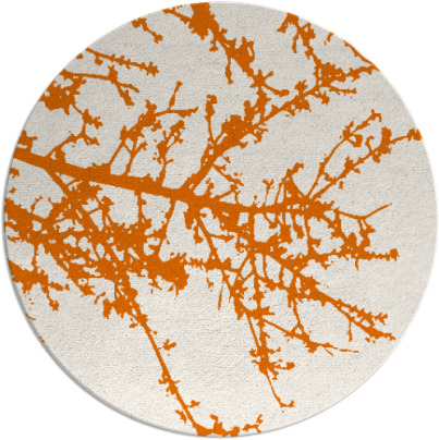 spruce rug - item 494154