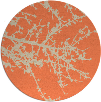 spruce rug - item 494157