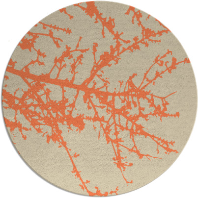 spruce rug - item 494158