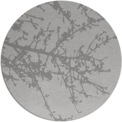 spruce rug - item 494164