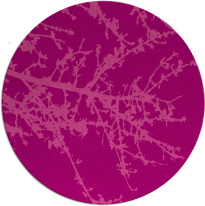 spruce rug - item 494169