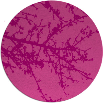 spruce rug - item 494170