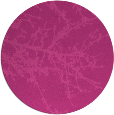 spruce rug - item 494171