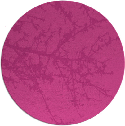 spruce rug - item 494172