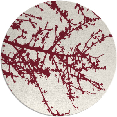 spruce rug - item 494174