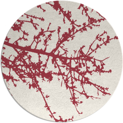 spruce rug - item 494176