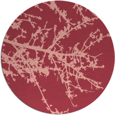 spruce rug - item 494177