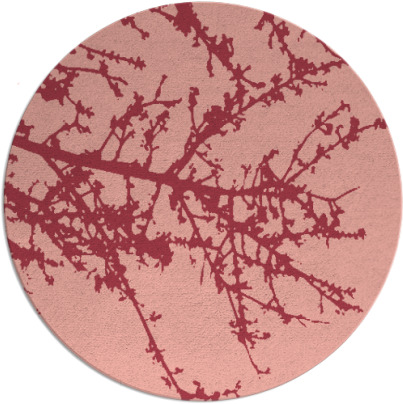 spruce rug - item 494178