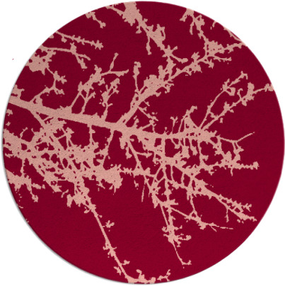 spruce rug - item 494179