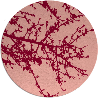 spruce rug - item 494180