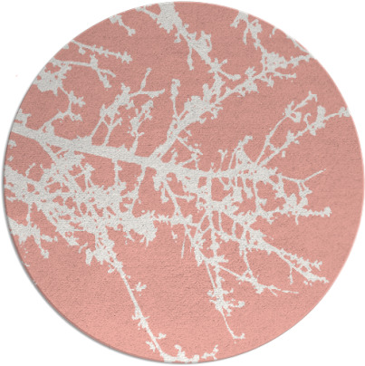 spruce rug - item 494181