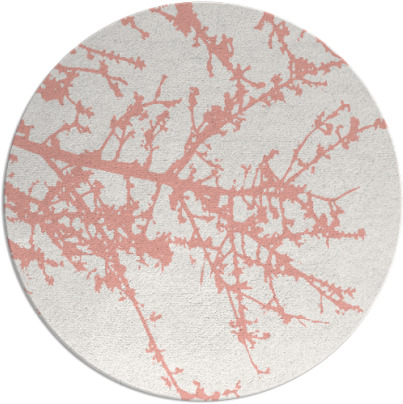 spruce rug - item 494182