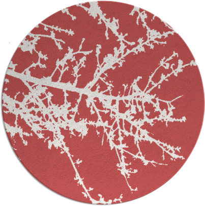 spruce rug - item 494183