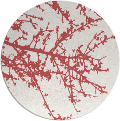 spruce rug - item 494184