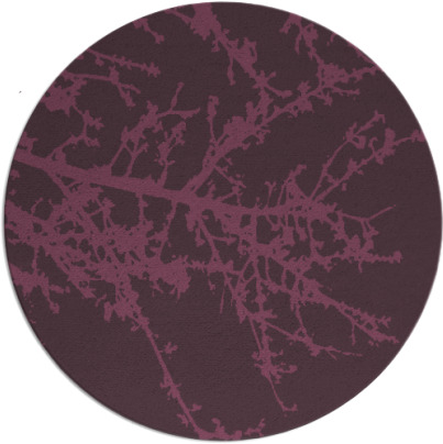 spruce rug - item 494185