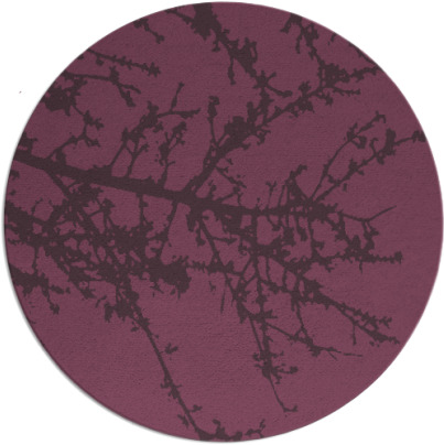 spruce rug - item 494186