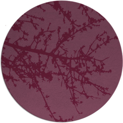 spruce rug - item 494188